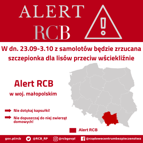 Alert RCB – szczepienie lisów przeciwko wściekliźnie