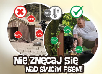 PODCZAS UPAŁÓW PAMIĘTAJMY TEŻ O ZWIERZĘTACH