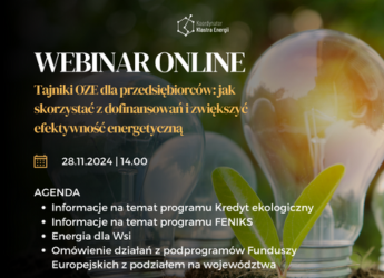 WEBINAR “TAJNIKI OZE DLA PRZEDSIĘBIORCÓW”