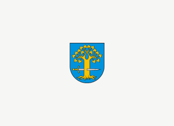 INFORMACJA O PRZYZNANYCH DOTACJACH DLA KLUBÓW SPORTOWYCH