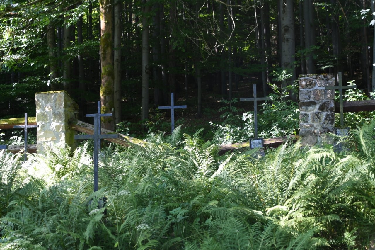 Rozpoczyna się kolejny etap prac konserwatorskich cmentarza wojennego nr 300  Rajbrot-Kobyła