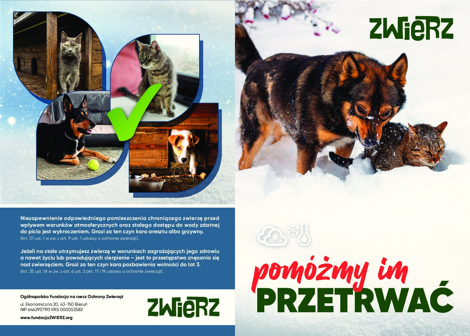 TWÓJ PIES ŚWIADCZY O TOBIE!