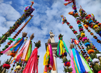 O LIPNICKIM KONKURSIE PALM SŁÓW KILKA