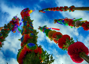 ZAPROSZENIE DO WSPÓŁPRACY PRZY 67. KONKURSIE LIPNICKICH PALM