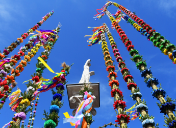 REGULAMIN 67. KONKURSU LIPNICKICH PALM – W TYM ROKU DODATKOWA, JUBILEUSZOWA KATEGORIA!