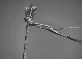 CI KTÓRZY DALI POCZĄTEK I SIĘGNĘLI NIEBA