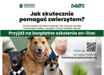 BEZPŁATNE SZKOLENIA ONLINE DOTYCZĄCE OPIEKI NAD ZWIERZĘTAMI