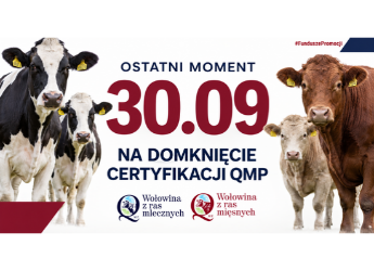 CERTYFIKAT QMP — TERMIN UZYSKANIA UPŁYWA 30 WRZEŚNIA 2026 R.