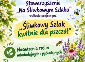 ŚLIWKOWY SZLAK DZIAŁA DLA PSZCZÓŁ